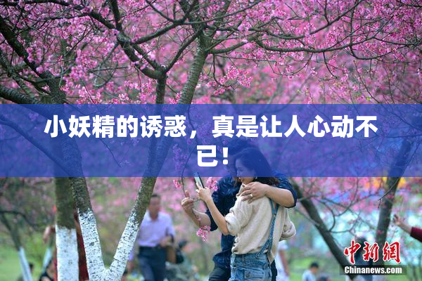 小妖精的诱惑，真是让人心动不已！