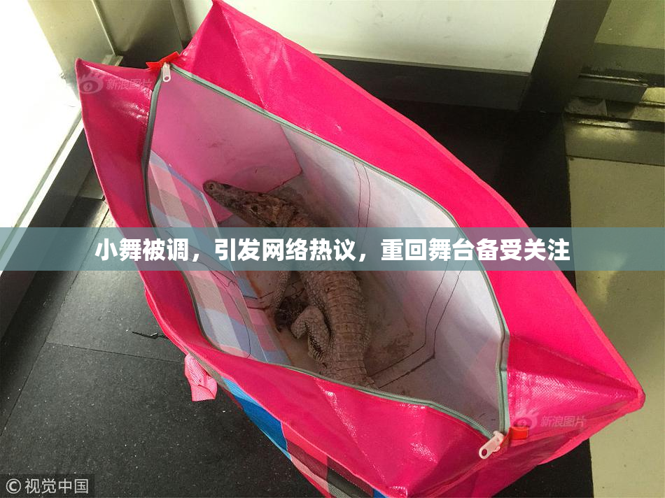 小舞被调，引发网络热议，重回舞台备受关注