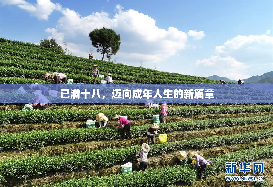 已满十八，迈向成年人生的新篇章