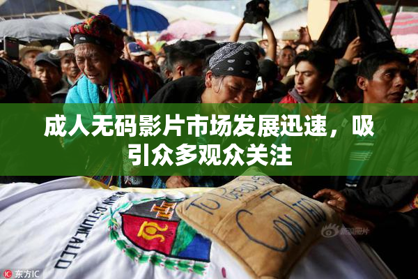 成人无码影片市场发展迅速，吸引众多观众关注