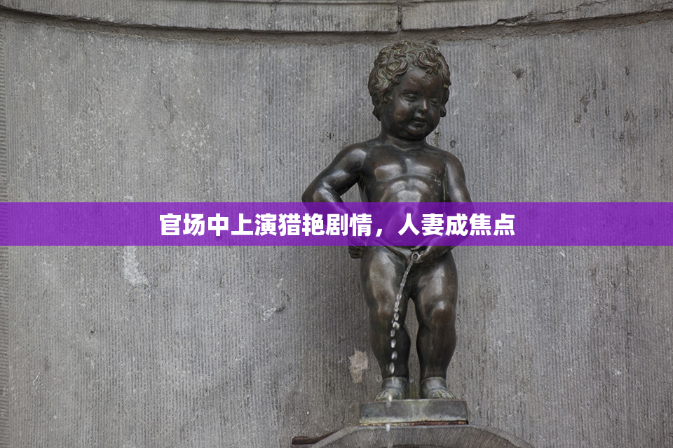 官场中上演猎艳剧情，人妻成焦点
