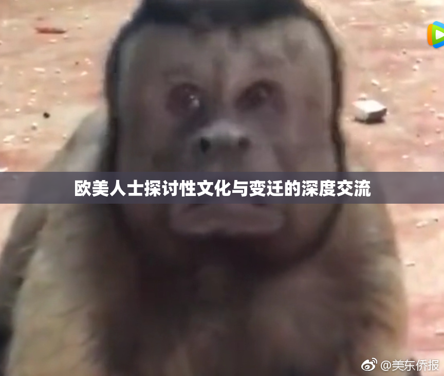 欧美人士探讨性文化与变迁的深度交流