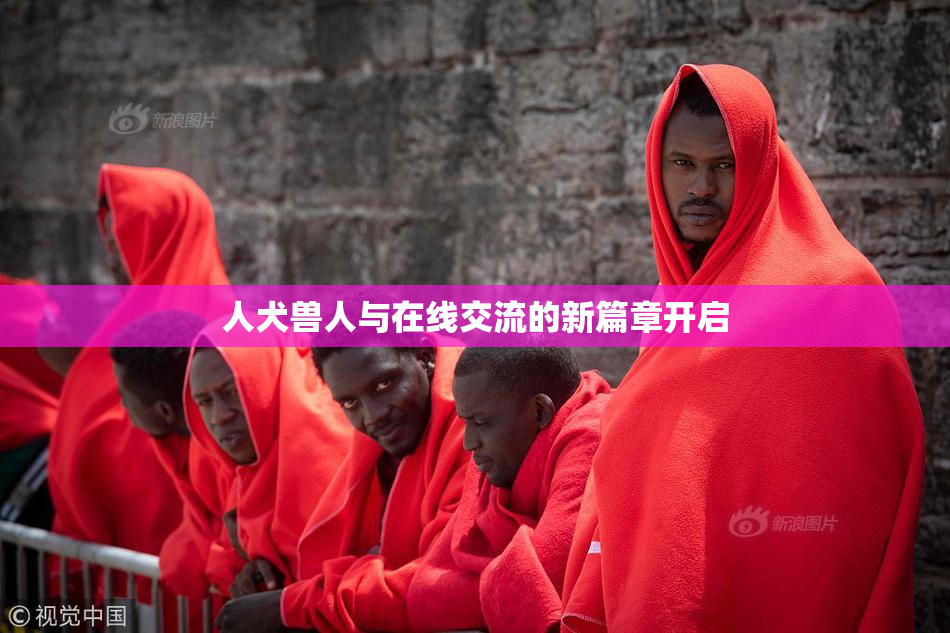 人犬兽人与在线交流的新篇章开启