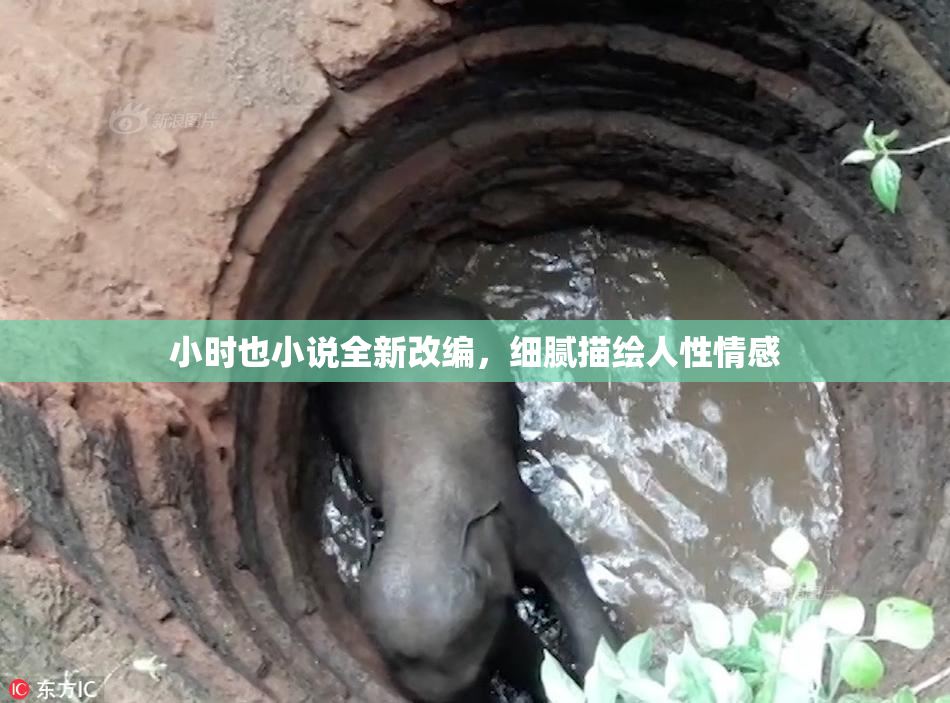 小时也小说全新改编，细腻描绘人性情感