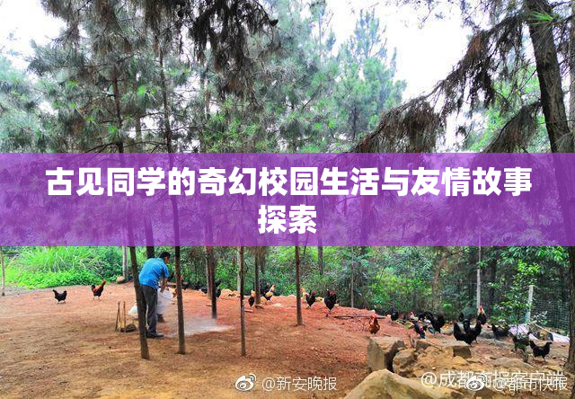 古见同学的奇幻校园生活与友情故事探索