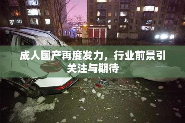 成人国产再度发力，行业前景引关注与期待