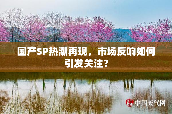 国产SP热潮再现，市场反响如何引发关注？
