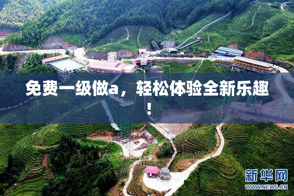 免费一级做a，轻松体验全新乐趣！
