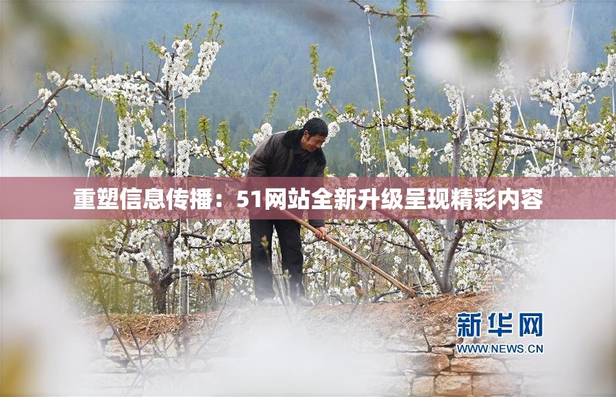 重塑信息传播：51网站全新升级呈现精彩内容