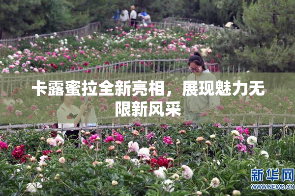 卡露蜜拉全新亮相，展现魅力无限新风采