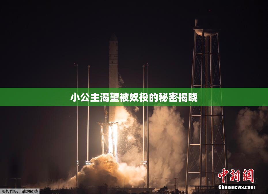 小公主渴望被奴役的秘密揭晓