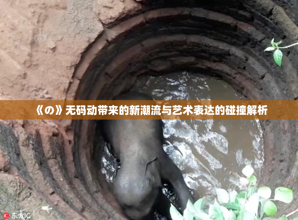 《の》无码动带来的新潮流与艺术表达的碰撞解析