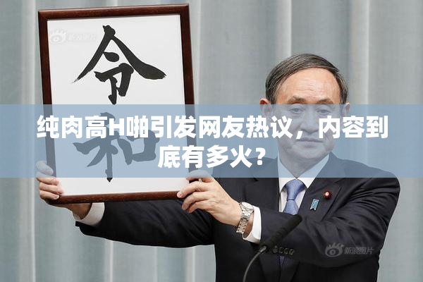 纯肉高H啪引发网友热议，内容到底有多火？