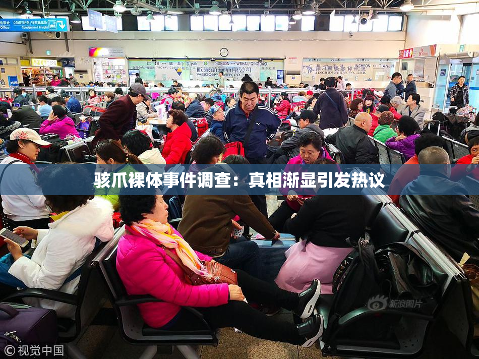 骇爪裸体事件调查：真相渐显引发热议