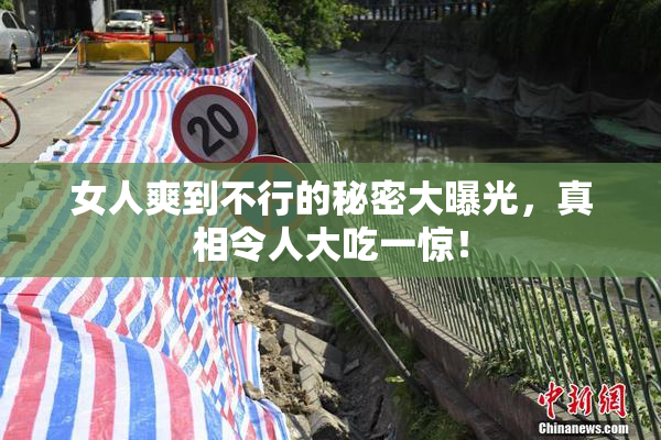女人爽到不行的秘密大曝光，真相令人大吃一惊！