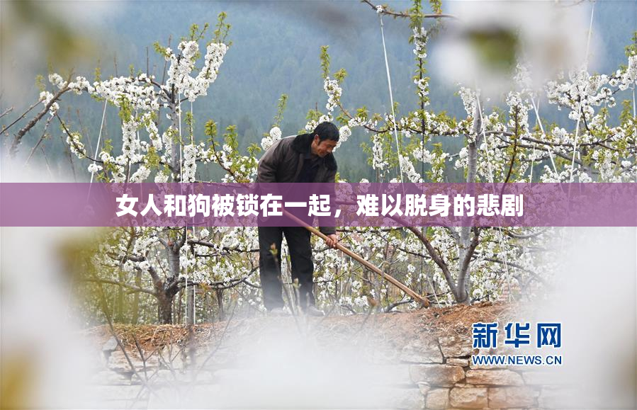 女人和狗被锁在一起，难以脱身的悲剧