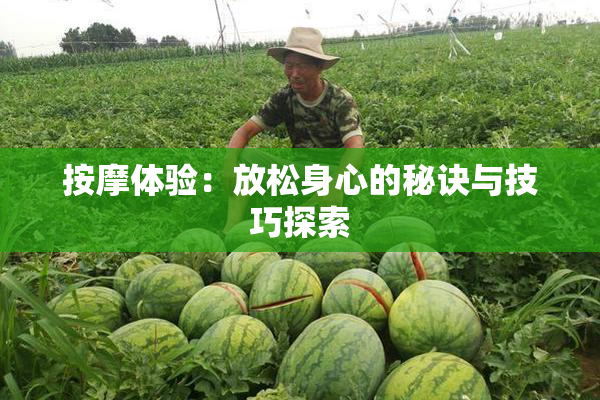 按摩体验：放松身心的秘诀与技巧探索