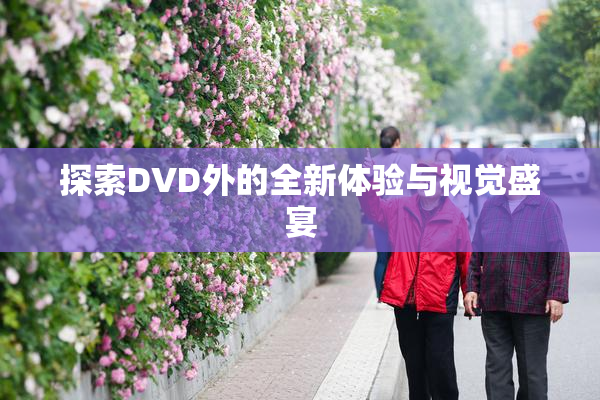 探索DVD外的全新体验与视觉盛宴