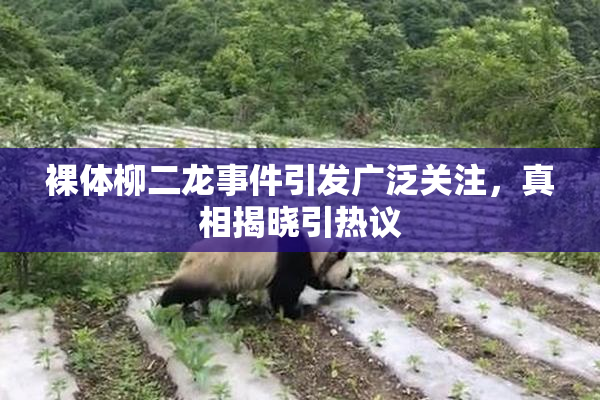 裸体柳二龙事件引发广泛关注，真相揭晓引热议