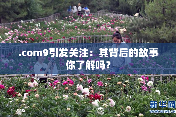 .com9引发关注：其背后的故事你了解吗？