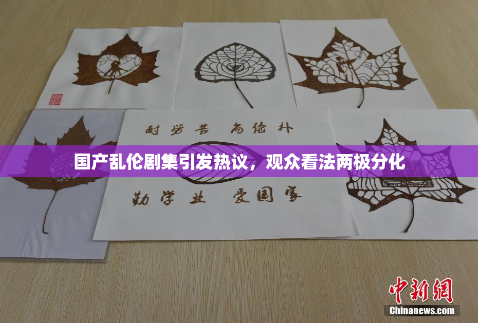 国产乱伦剧集引发热议，观众看法两极分化