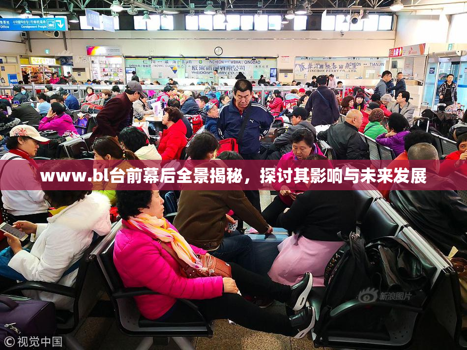 www.bl台前幕后全景揭秘，探讨其影响与未来发展