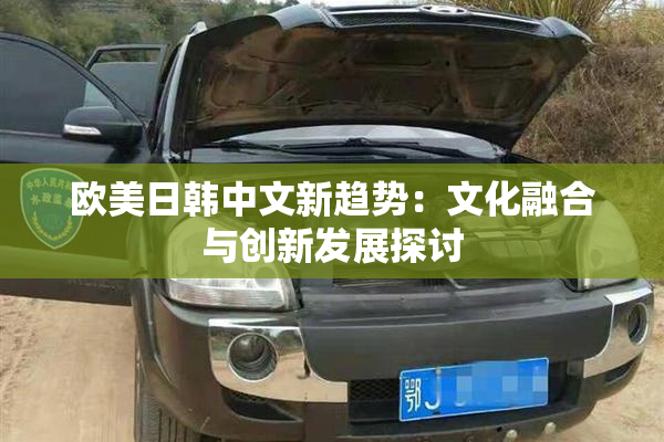 欧美日韩中文新趋势：文化融合与创新发展探讨