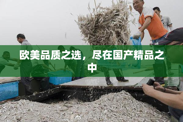 欧美品质之选，尽在国产精品之中