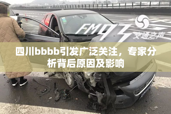 四川bbbb引发广泛关注，专家分析背后原因及影响