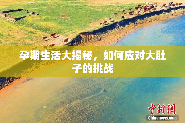 孕期生活大揭秘，如何应对大肚子的挑战