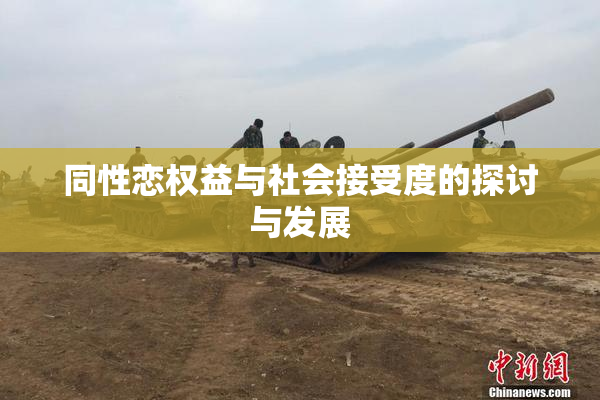 同性恋权益与社会接受度的探讨与发展