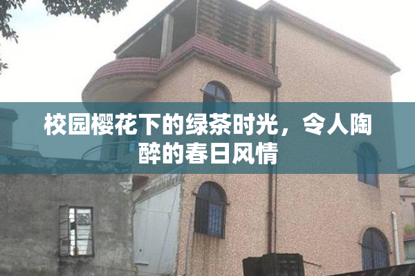 校园樱花下的绿茶时光，令人陶醉的春日风情