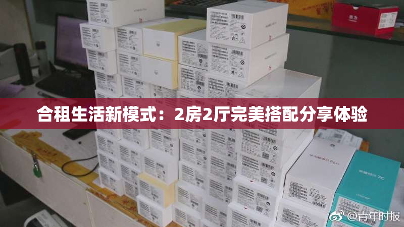 合租生活新模式：2房2厅完美搭配分享体验