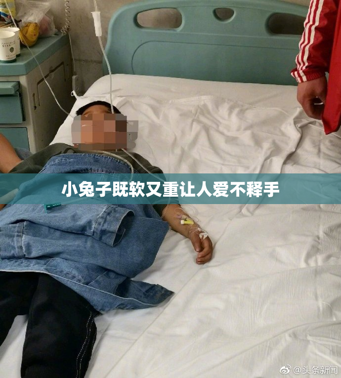 小兔子既软又重让人爱不释手