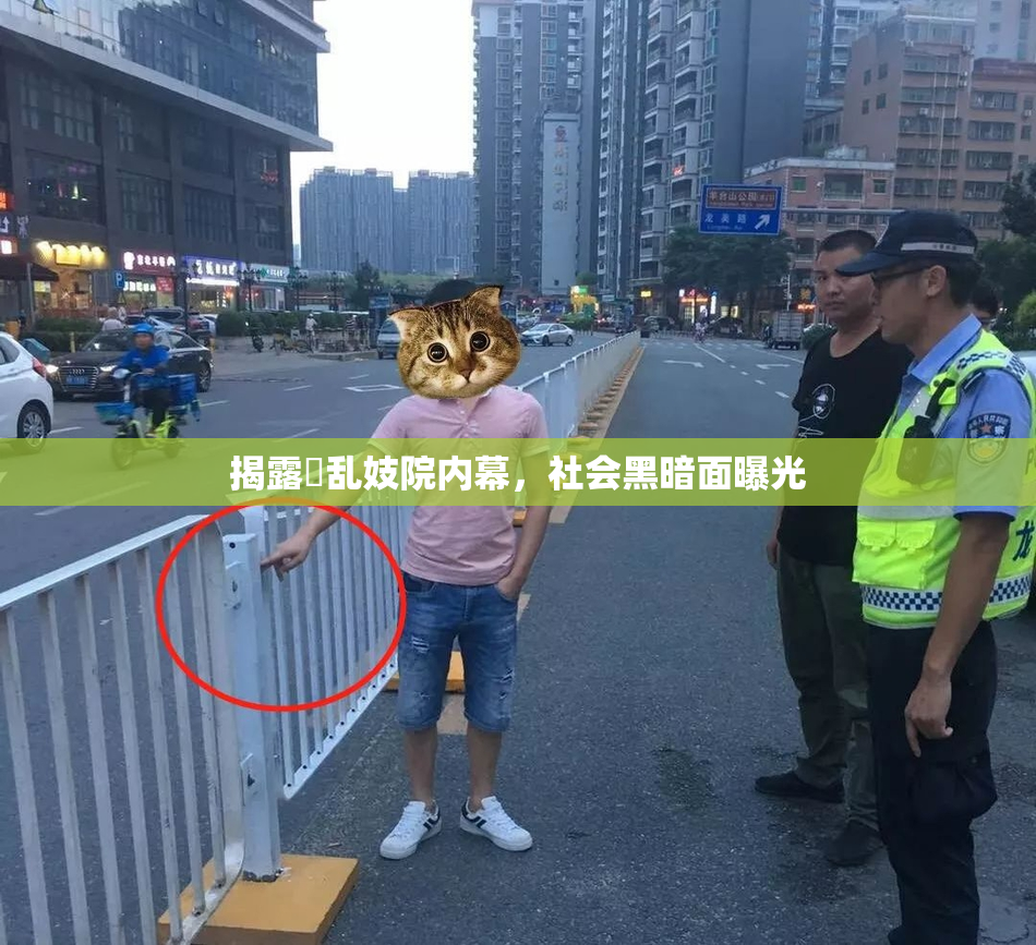 揭露婬乱妓院内幕，社会黑暗面曝光