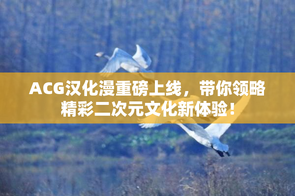 ACG汉化漫重磅上线，带你领略精彩二次元文化新体验！