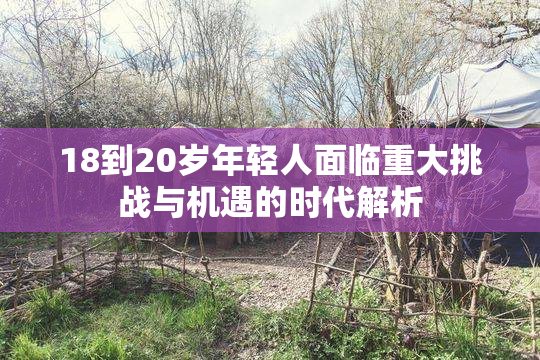 18到20岁年轻人面临重大挑战与机遇的时代解析