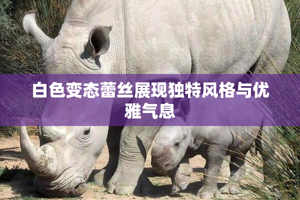 白色变态蕾丝展现独特风格与优雅气息