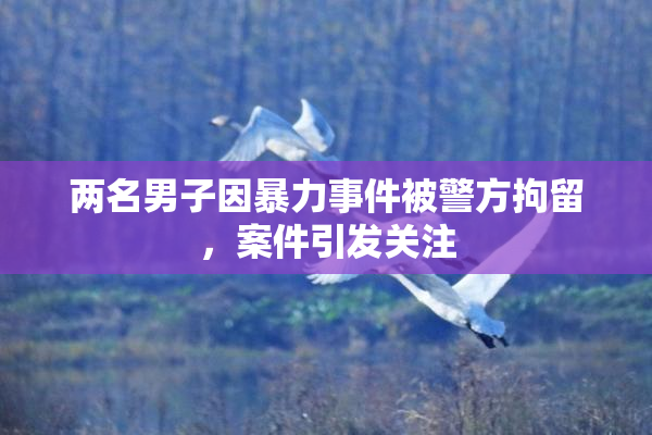 两名男子因暴力事件被警方拘留，案件引发关注
