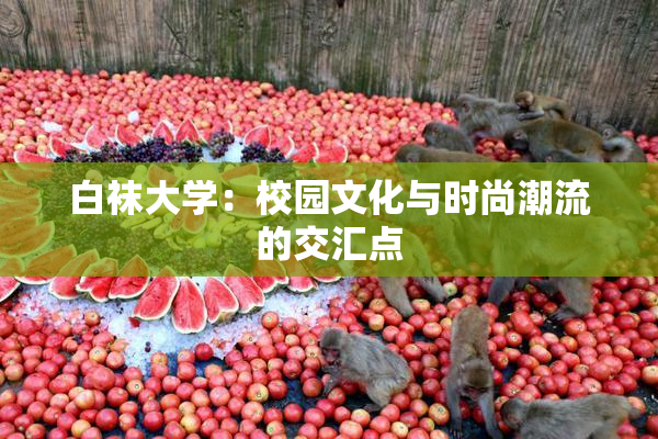 白袜大学：校园文化与时尚潮流的交汇点