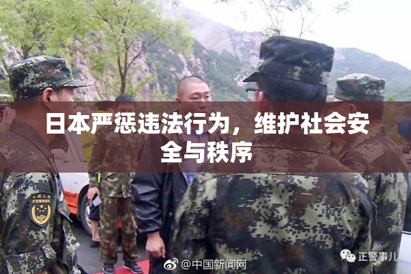 日本严惩违法行为，维护社会安全与秩序
