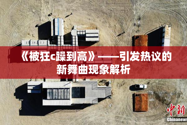 《被狂c躁到高》——引发热议的新舞曲现象解析