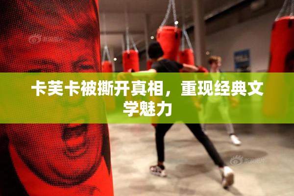 卡芙卡被撕开真相，重现经典文学魅力