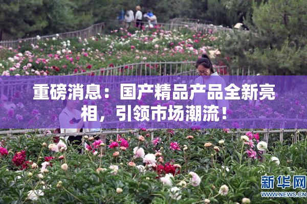 重磅消息：国产精品产品全新亮相，引领市场潮流！