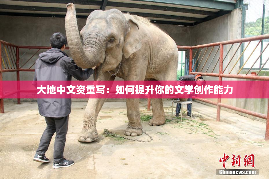 大地中文资重写：如何提升你的文学创作能力