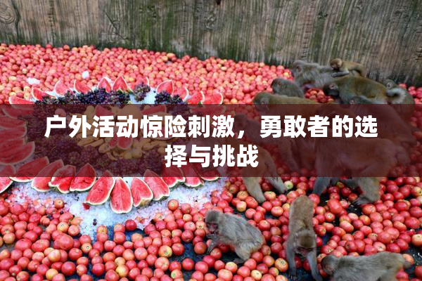 户外活动惊险刺激，勇敢者的选择与挑战