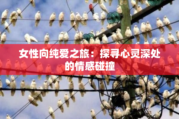 女性向纯爱之旅：探寻心灵深处的情感碰撞