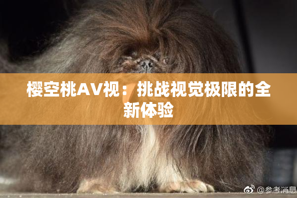 樱空桃AV视：挑战视觉极限的全新体验