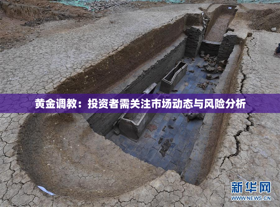 黄金调教：投资者需关注市场动态与风险分析