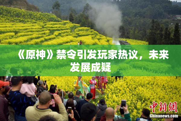 《原神》禁令引发玩家热议，未来发展成疑